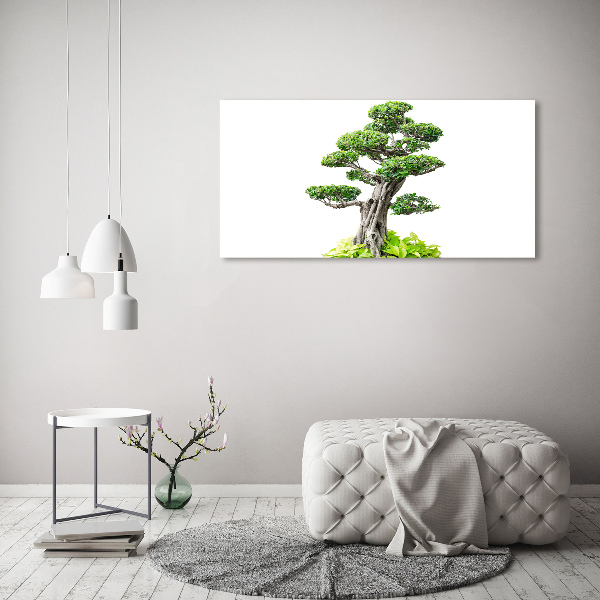 Wandbild Bonsai-Baum