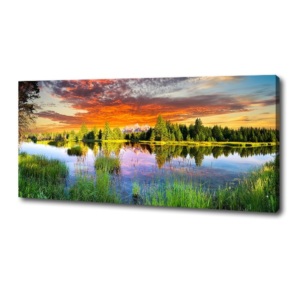 Bild auf leinwand Fluss im Wald