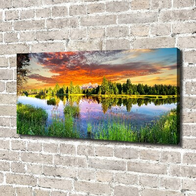 Bild auf leinwand Fluss im Wald