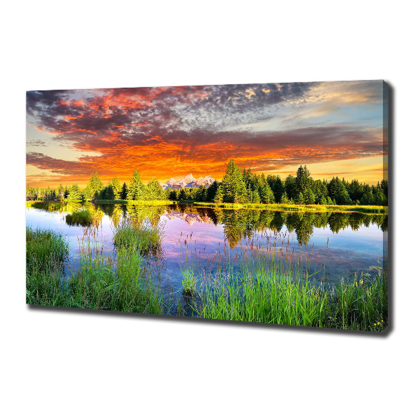 Bild auf leinwand Fluss im Wald