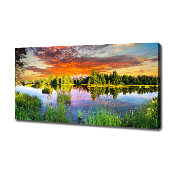 Bild auf leinwand Fluss im Wald