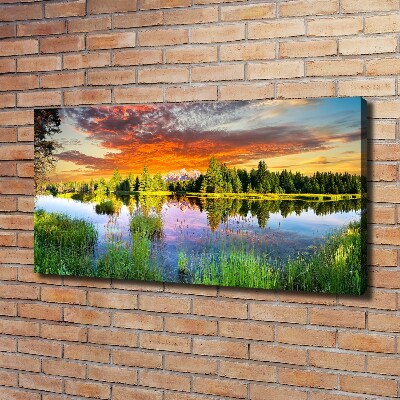 Bild auf leinwand Fluss im Wald