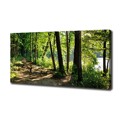 Wandbild Pfad in der Wiese