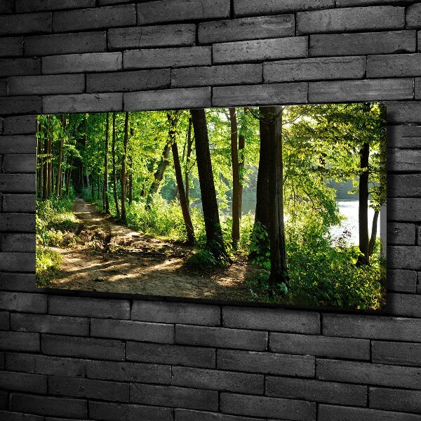 Wandbild Pfad in der Wiese