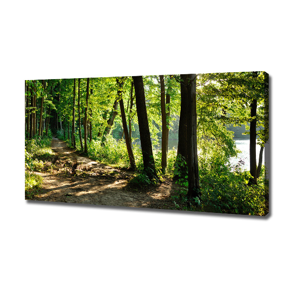 Wandbild Pfad in der Wiese