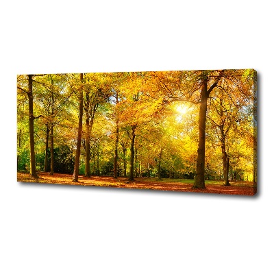 Bild auf leinwand Wald im Herbst