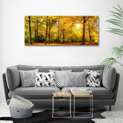 Bild auf leinwand Wald im Herbst