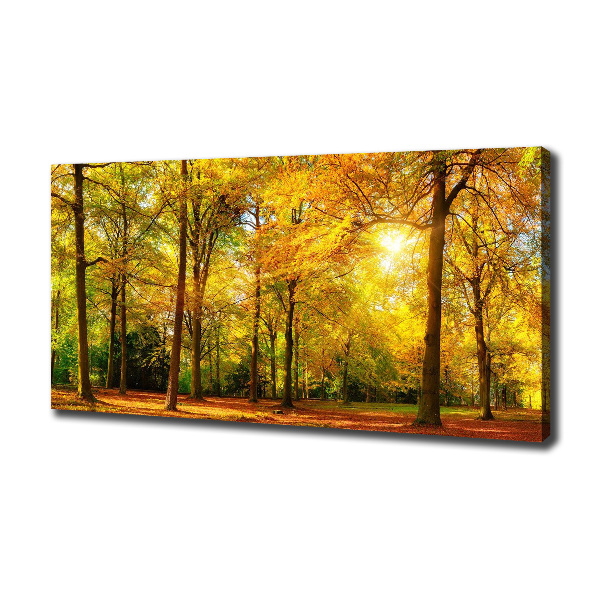 Bild auf leinwand Wald im Herbst