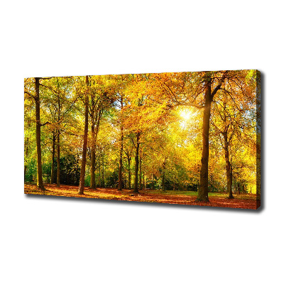 Bild auf leinwand Wald im Herbst