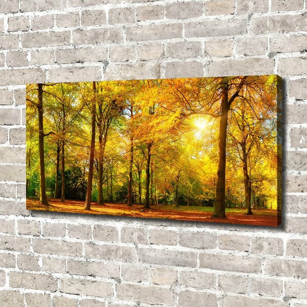 Bild auf leinwand Wald im Herbst