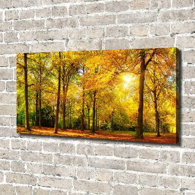 Bild auf leinwand Wald im Herbst