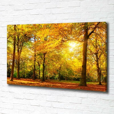 Bild auf leinwand Wald im Herbst
