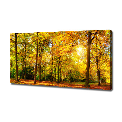 Bild auf leinwand Wald im Herbst