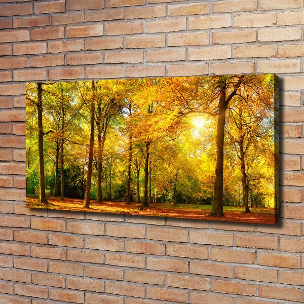 Bild auf leinwand Wald im Herbst