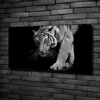 Bild auf leinwand Tiger