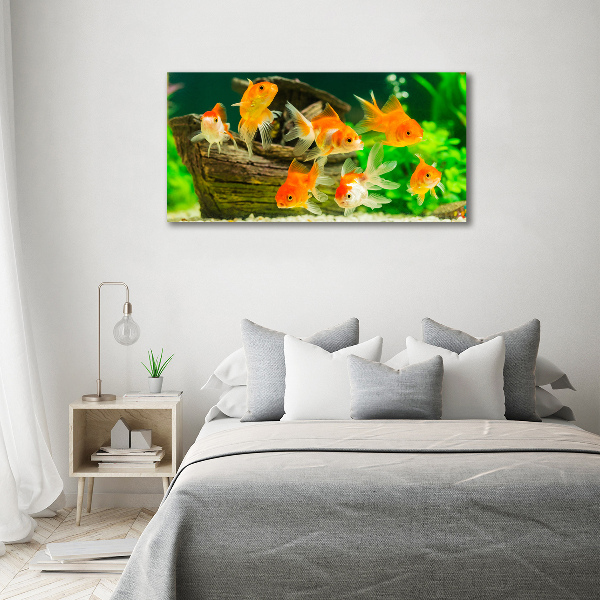Wandbild Goldfisch