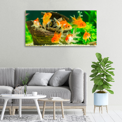 Wandbild Goldfisch