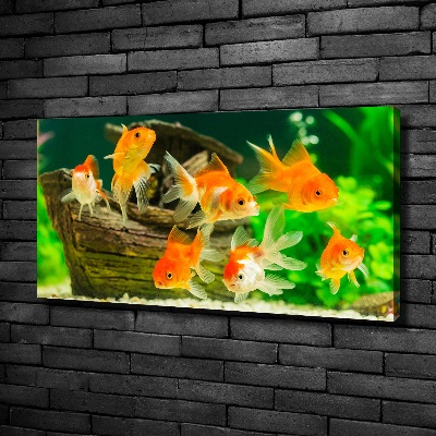 Wandbild Goldfisch