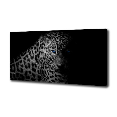 Fotobild Leopard