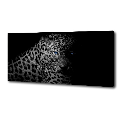 Fotobild Leopard
