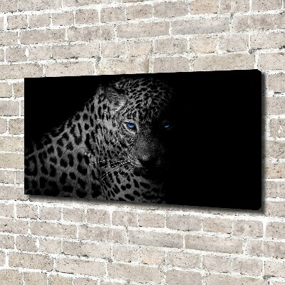 Fotobild Leopard
