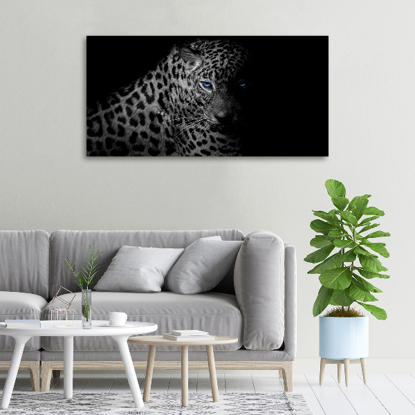 Fotobild Leopard