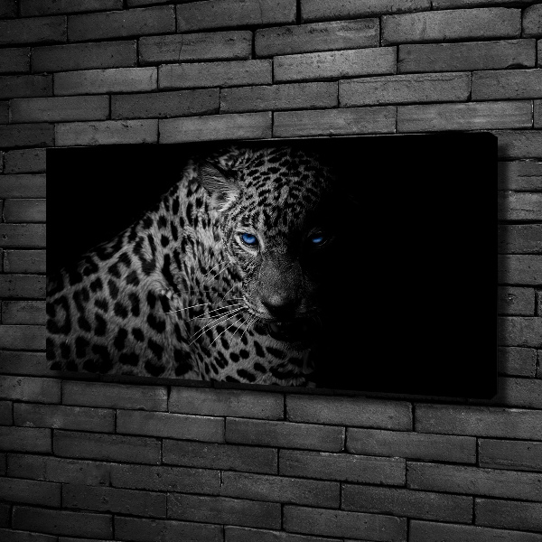 Fotobild Leopard