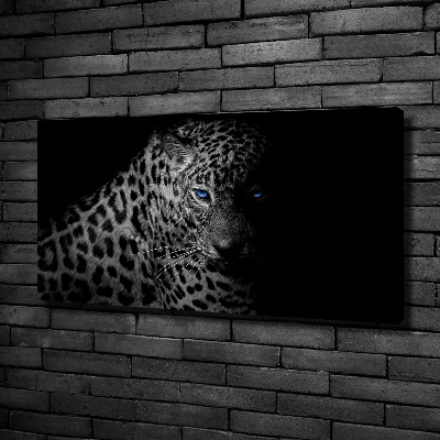 Fotobild Leopard