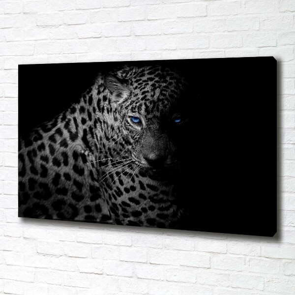 Fotobild Leopard