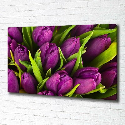 Wandbild Lila Tulpen