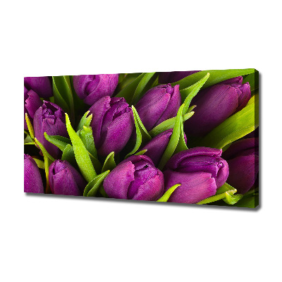 Wandbild Lila Tulpen