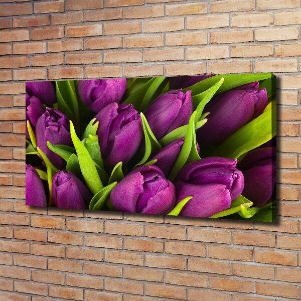 Wandbild Lila Tulpen