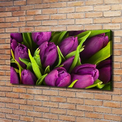 Wandbild Lila Tulpen