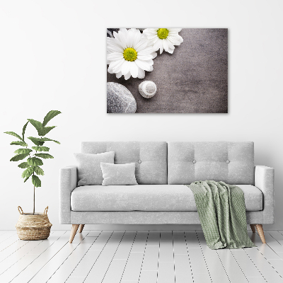 Fotobild Gerbera