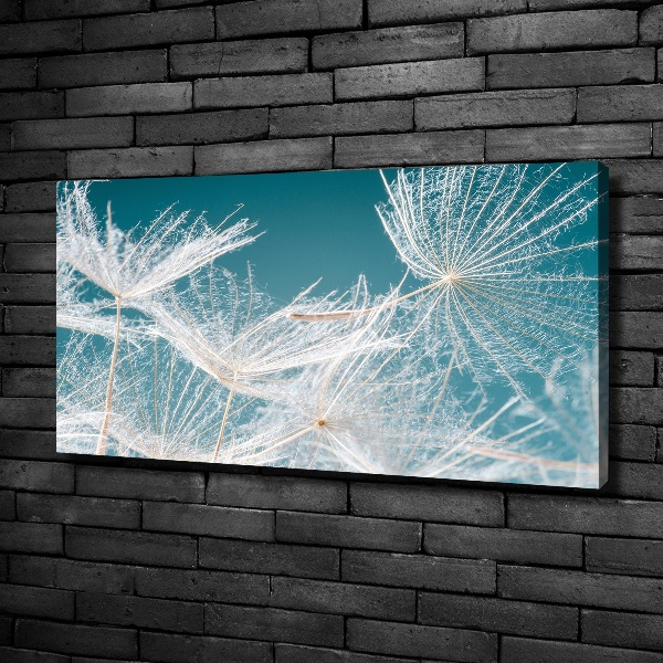 Bild auf leinwand Löwenzahnsamen