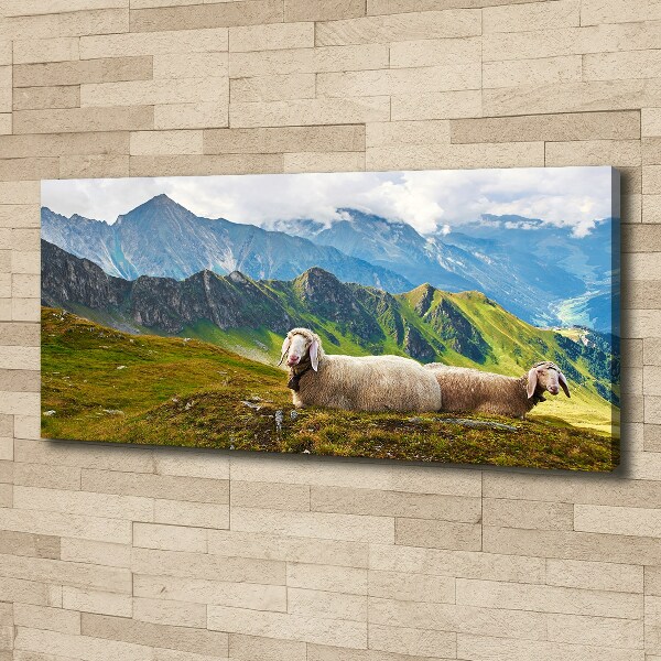 Bild auf leinwand Schafe in den Alpen