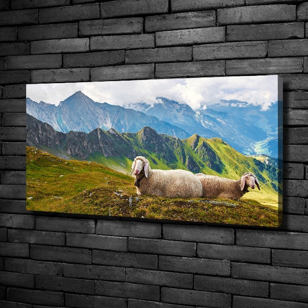 Bild auf leinwand Schafe in den Alpen