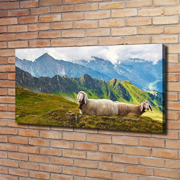 Bild auf leinwand Schafe in den Alpen