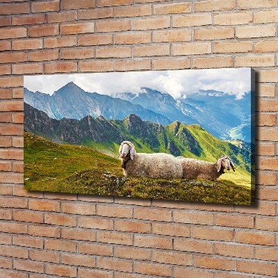 Bild auf leinwand Schafe in den Alpen