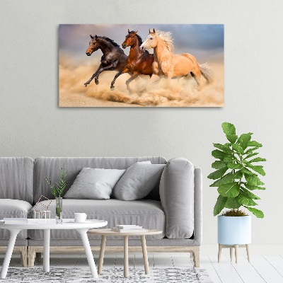 Bild auf leinwand Pferde im Galopp