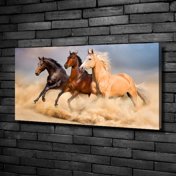 Bild auf leinwand Pferde im Galopp