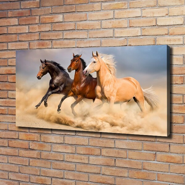 Bild auf leinwand Pferde im Galopp