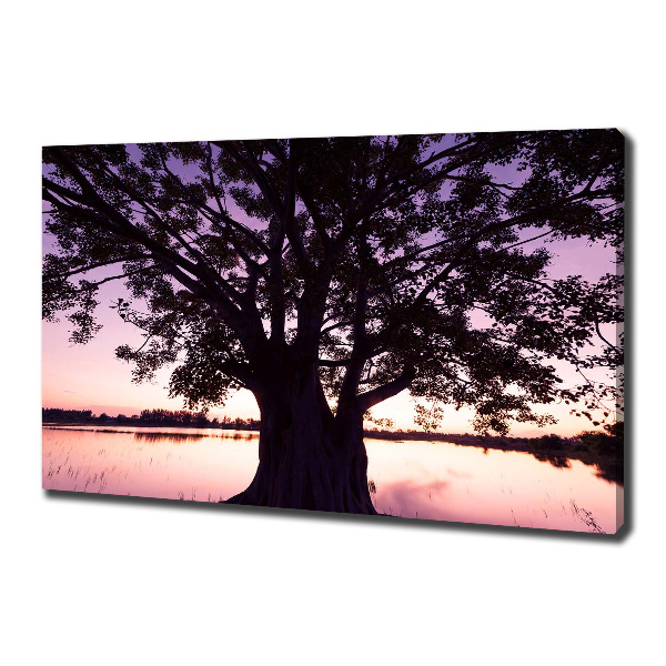 Wandbild Baum und See