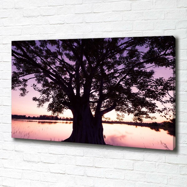 Wandbild Baum und See
