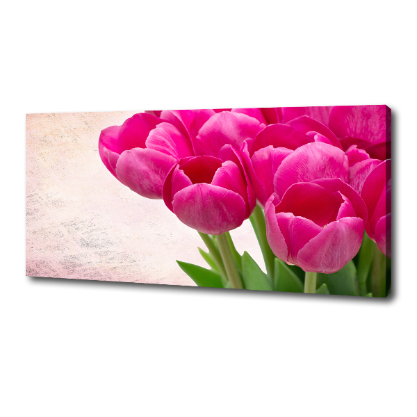Fotobild Rosa Tulpen