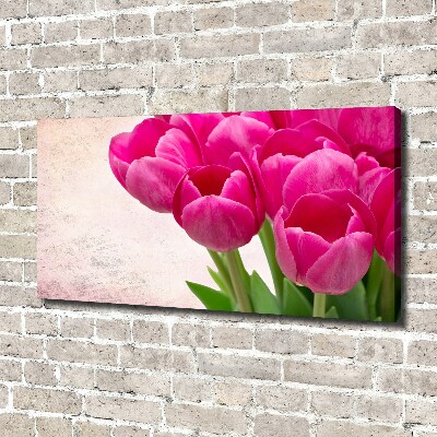 Fotobild Rosa Tulpen