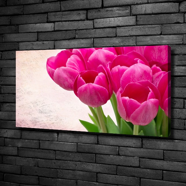 Fotobild Rosa Tulpen