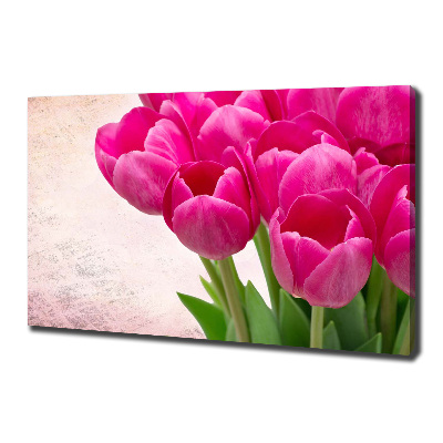 Fotobild Rosa Tulpen