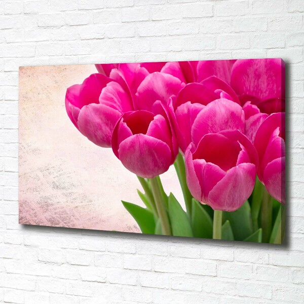 Fotobild Rosa Tulpen