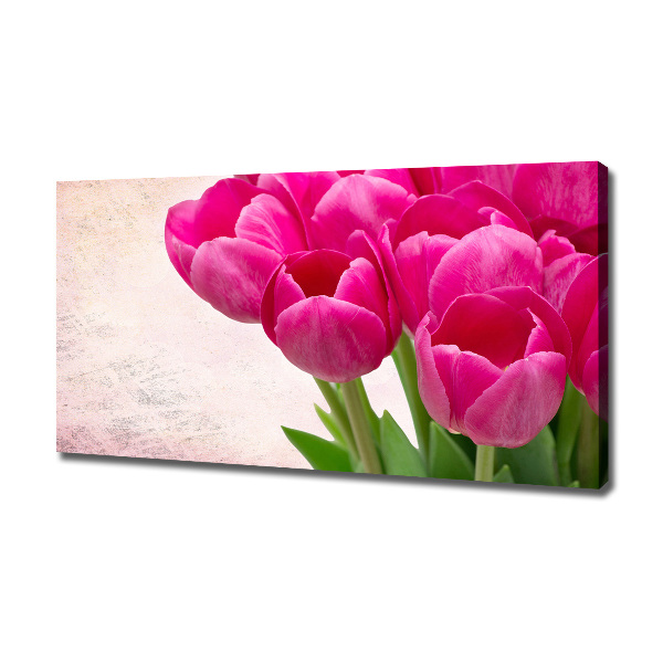 Fotobild Rosa Tulpen